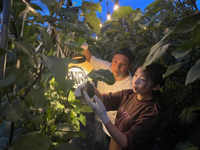 BNR NIGHT FARM - Frequently Asked Questions