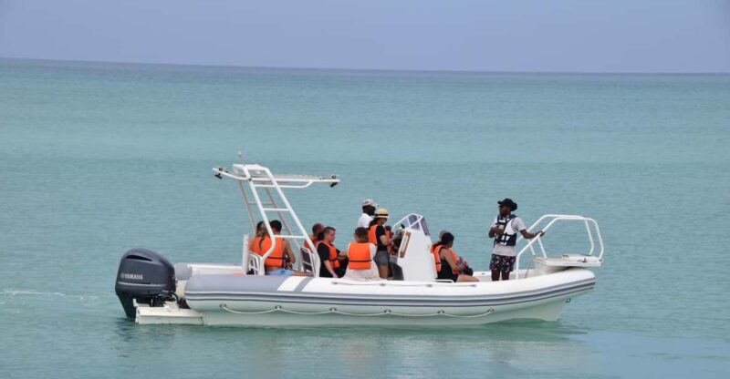 Boa Vista: 4h Boat Trip With Snorkelling & Visit Island Djeu - Key Points