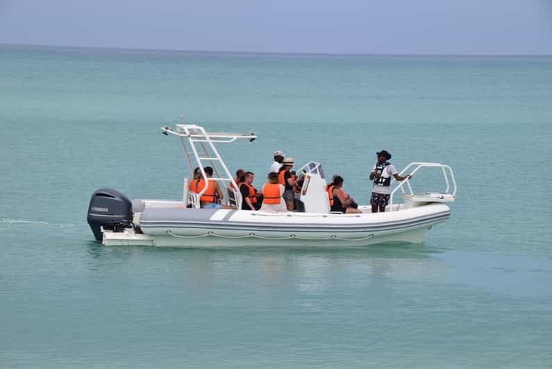 Boa Vista: 4h Boat Trip With Snorkelling & Visit Island Djeu - Morro De Areia Nature Reserve