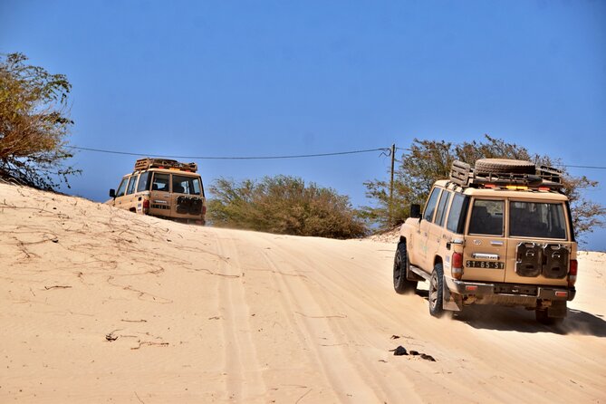 Boa Vista: 4h North Jeep Expedition Off-Road - What to Expect on the Tour