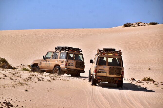 Boa Vista: 4h South Jeep Expedition Off-Road - Experience Overview