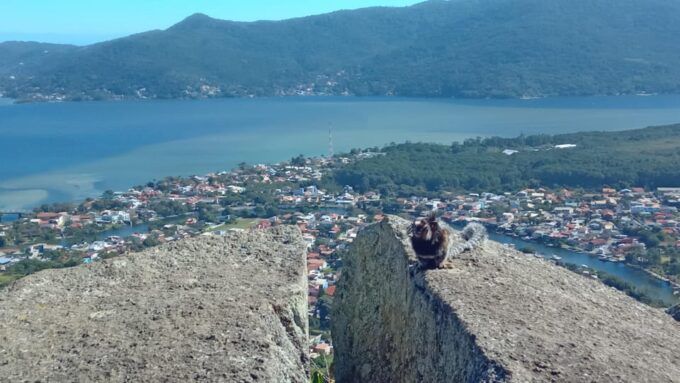 Boa Vista - Galheta Trail: the Best Views of Florianópolis - Connection With Nature