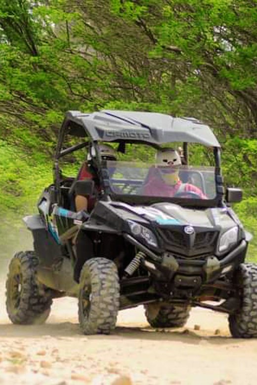Boa Vista Island: 2h Thrilling Buggy Experience - Exploring Floresta Clotilde