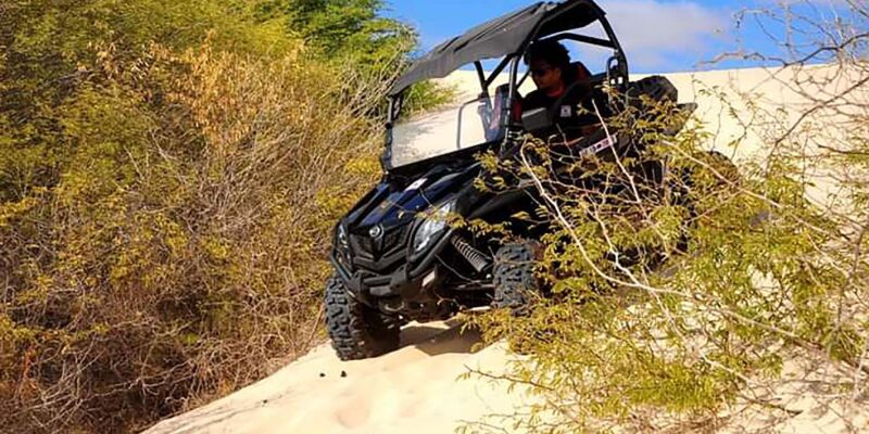 Boa Vista Island: 2h Thrilling Buggy Experience - Discovering Rabil and Chaves Beach