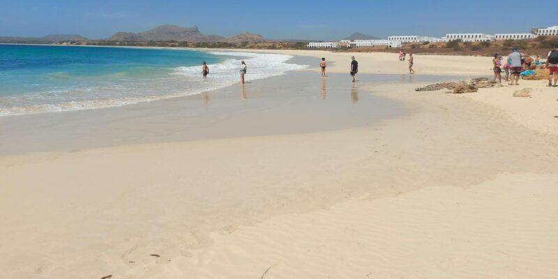 Boa Vista Island: Full Day North to South Discovery - Itinerary Highlights