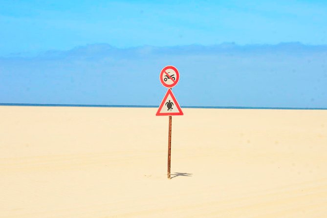 Boa Vista Island: Half-day Northern Tour + Viana Desert Adventure - Transportation and Pickup