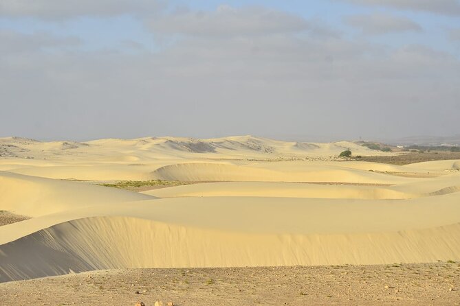 Boa Vista Tour: Santa Monica, Shark, Turtle, Desert & Shipwreck - Key Highlights