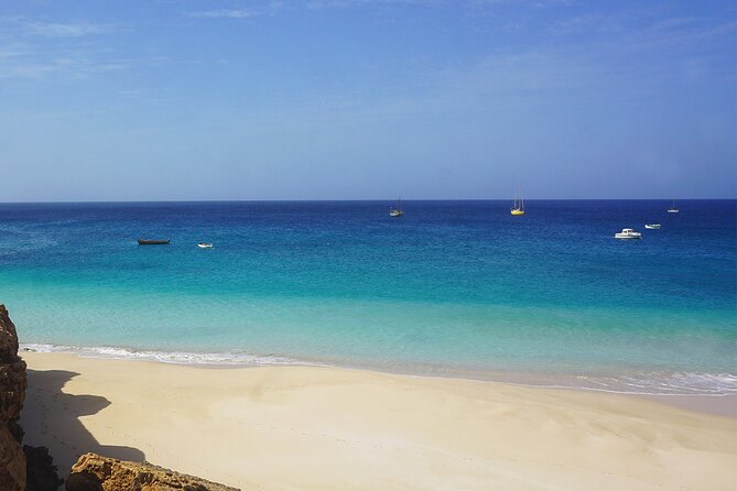 Boa Vista Tour: Santa Monica, Shark, Turtle, Desert & Shipwreck - Santa Monica Beach