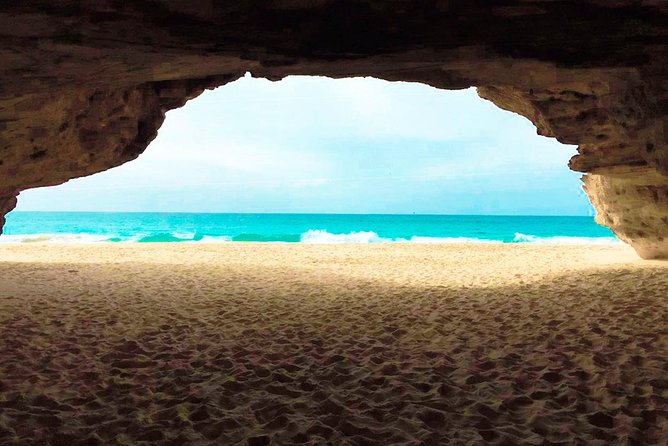 Boa Vista Tour: Santa Monica, Shark, Turtle, Desert & Shipwreck - Cancellation Policy