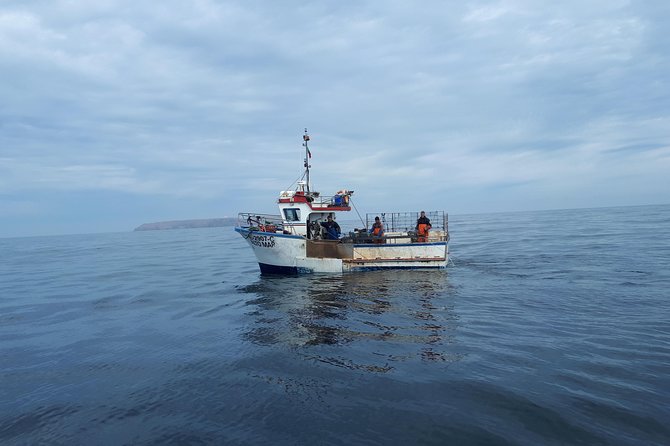 Boat and Kayak at Berlenga Natural Reserve - Tour Overview and Highlights