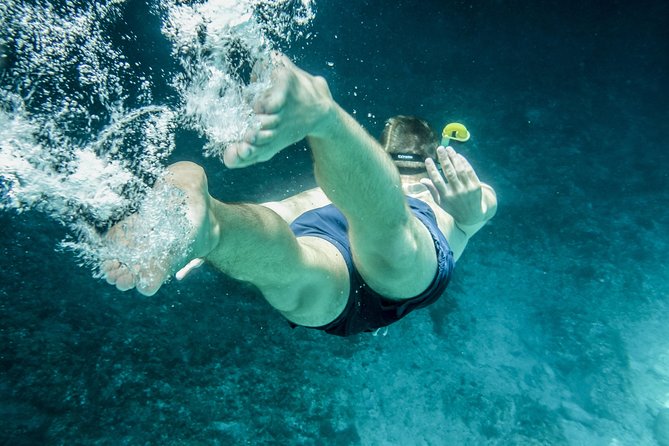 Boat and Snorkeling in West End (Blue Channel, The Aquarium, Turtle Crossing) - Recommended for All Skill Levels