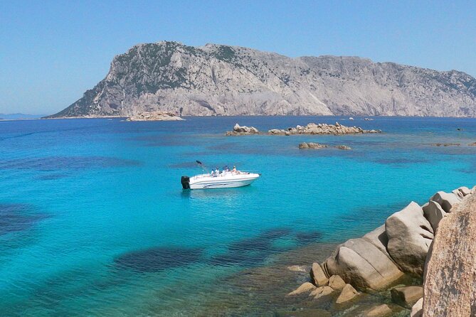 Boat and Snorkeling Private Tour Max 6 People - Good To Know