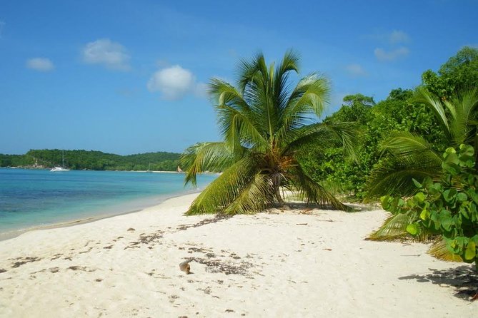 Boat Cruise to the French Islands - About Your Stay