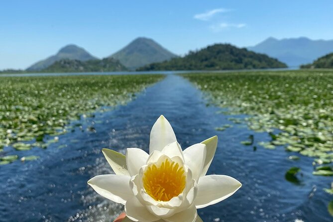 Boat Cruise Viktor Skadar LakeVirpazar Kom MonasteryVirpazar - Traveler Ratings and Reviews