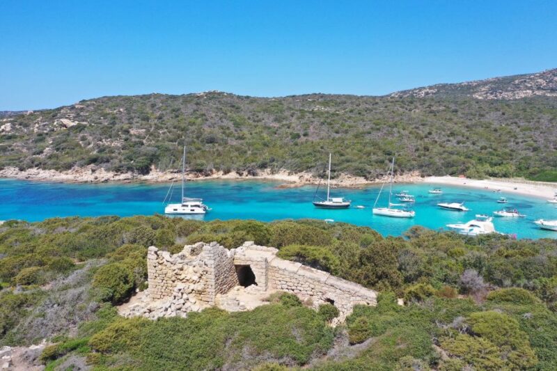 Boat Day: Beaches, Coves, Wild Calanques - Key Points