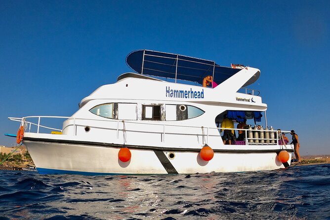 Boat Dive 2 Guided Dives With Lunch Included Wreck Dive&Reef Dive - Inclusions and Meeting Details