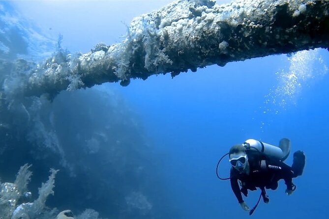 Boat Dive 2 Guided Dives With Lunch Included Wreck Dive&Reef Dive - Tour Highlights and Specifications