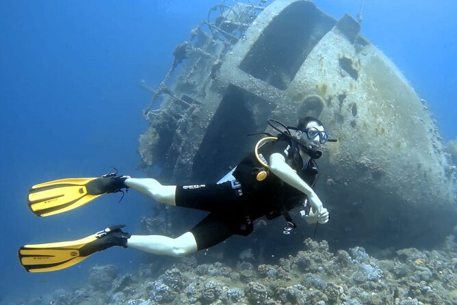 Boat Dive 2 Guided Dives With Lunch Included Wreck Dive&Reef Dive - Accessibility and Suitability