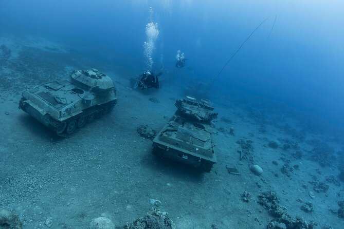 Boat Dive and Snorkeling Experience in Aqaba - Explore the Marine Wonders