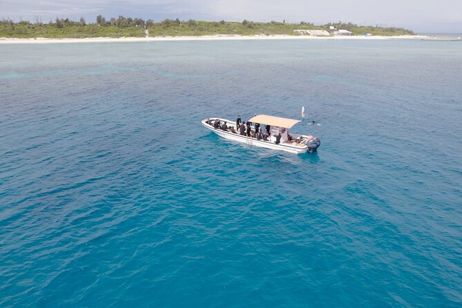 Boat Dive Package - 2 Dives at Minna Island or Sesoko, Okinawa - Inclusions