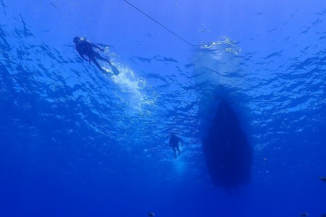Boat Dive Package - 2 Dives at Minna Island or Sesoko, Okinawa - Meeting and Pickup