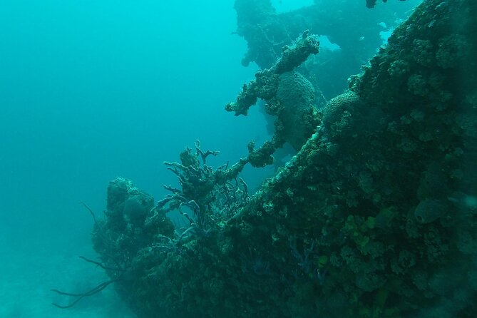 Boat Dive Shipwreck/ Airplanes/ Reef /2 Tanks - Booking Information