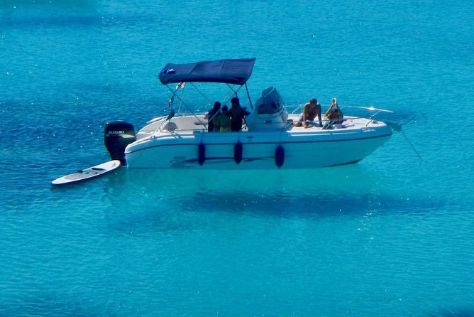 Boat Dolphins Safari and Snorkeling - Discovering Local Marine Life