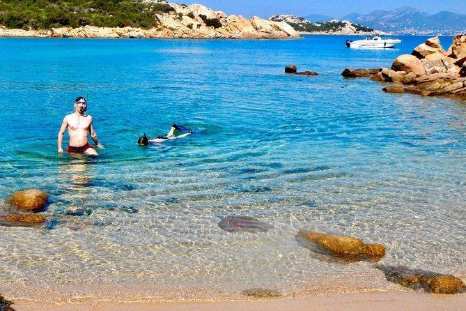 Boat Dolphins Safari and Snorkeling - Accessibility and Participation