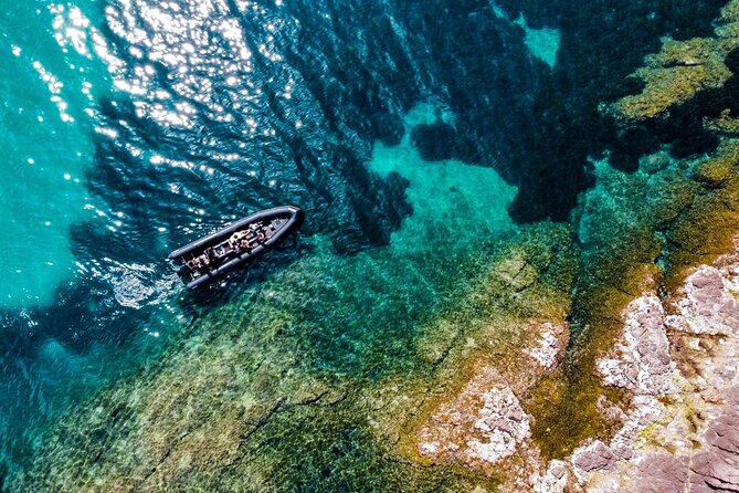 Boat Excursion - Cannes Esterel Coves Insight – 1H30 - Price and Cancellation