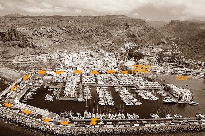 Boat Excursion in Las Palmas - Overview and Details