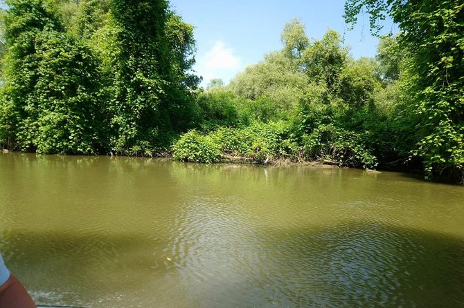 Boat Excursion in the Danube Delta, With Terrace and Closed Hall. - Weather Policy and Meeting Point