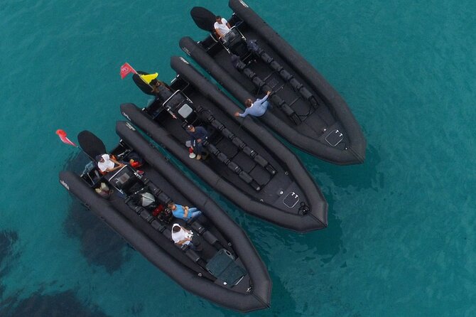 Boat Excursion - Nice/St Jean Cap Ferrat 1H30 - Meeting and Pickup