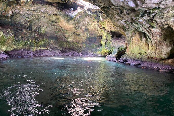Boat Excursion to Polignano a Mare Between Caves and Coves - Boat Excursion Highlights