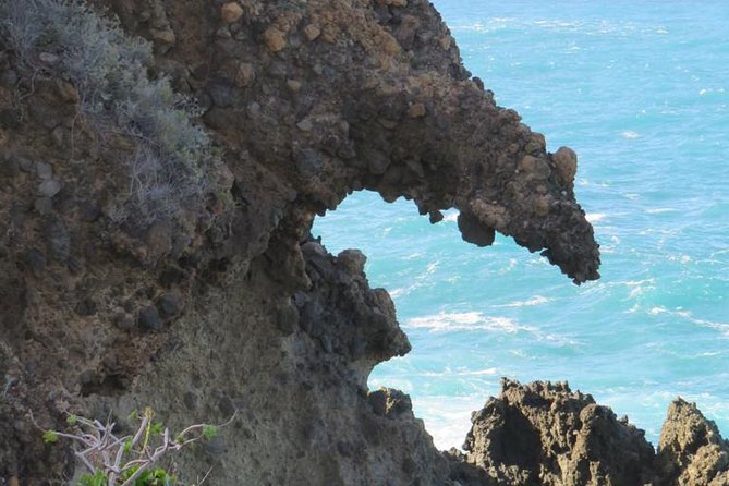 Boat Excursion to Visit Underwater Lava Tongues - Pricing and Capacity Information