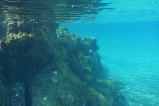 Boat Excursion to Visit Underwater Lava Tongues - Additional Important Details