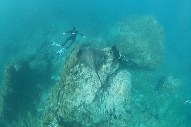 Boat Excursion to Visit Underwater Lava Tongues - Excellent Customer Reviews