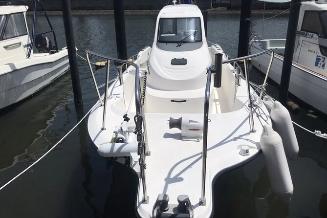 Boat Fishing Activity in Central Tokyo - Pickup and Transfer Service