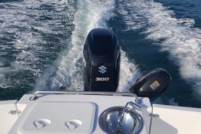 Boat Fishing, Boat Tours, Boat Party - Accessibility Information