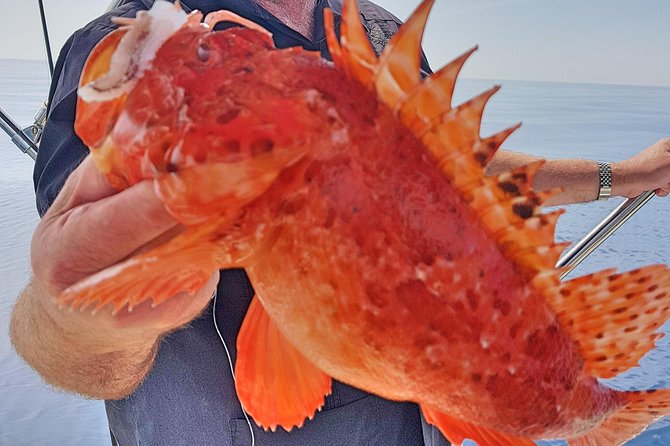 Boat Fishing Trip - Exceptional Customer Testimonials