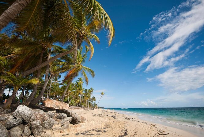 Boat Party for Group From Punta Cana - About Your Stay