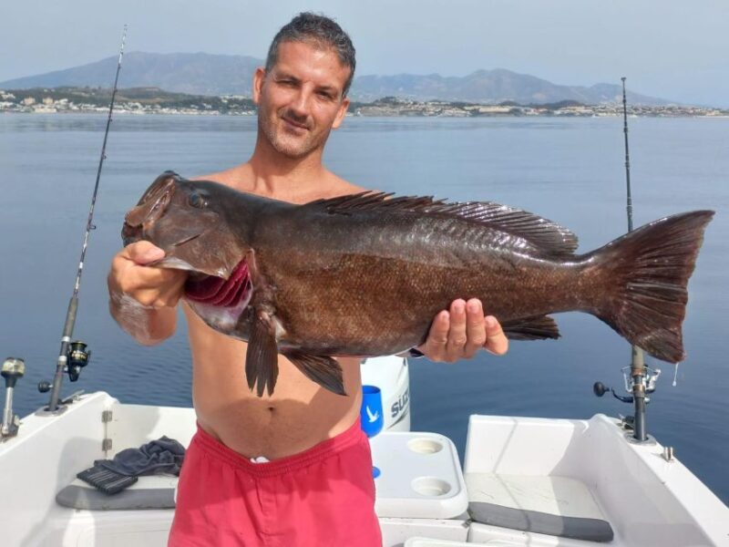 Boat Rental in Malaga - Key Points