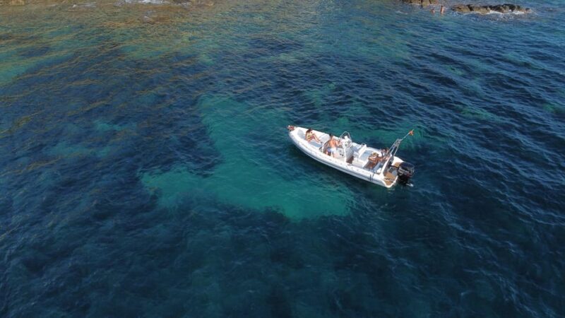 Boat Rental With License - Booking and Availability