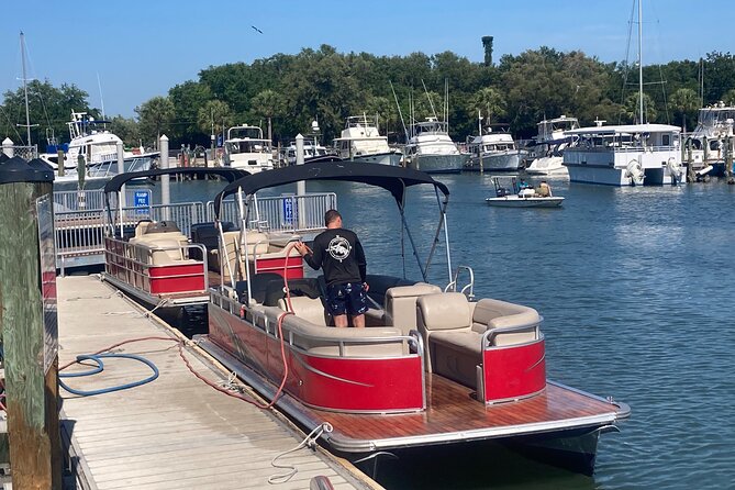 Boat Rentals in Shell Key - Dolphin Sightings