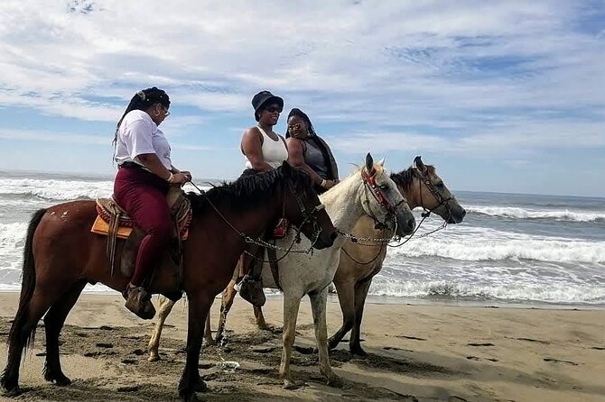 Boat Ride-Gentle Beach Beach Horseback Ride+Lunch-Crocs-Turtles - Meals and Refreshments