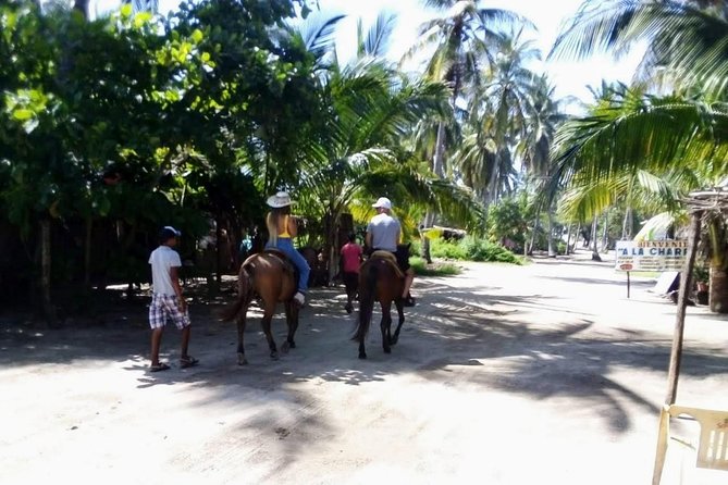 Boat Ride-Gentle Beach Beach Horseback Ride+Lunch-Crocs-Turtles - Logistics and Accessibility