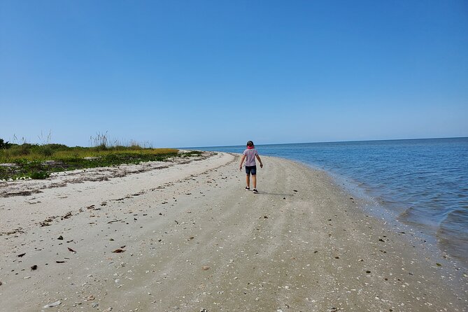 Boat Ride in 10,000 Islands + Biologist Led Walk in the Everglades Small Group - Included in the Tour