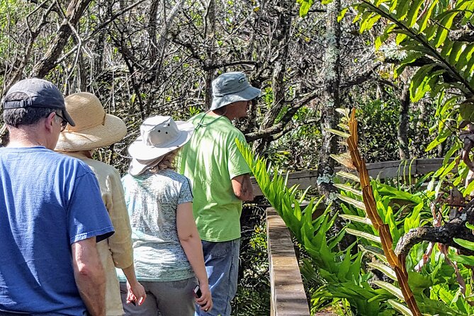 Boat Ride in 10,000 Islands + Biologist Led Walk in the Everglades Small Group - Meeting and Pickup Details