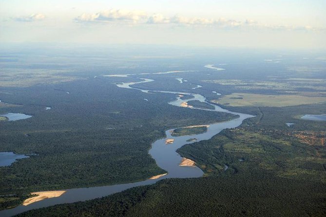 Boat Ride: São Francisco River, the Largest in Brazil - Discovering Native Flora and Fauna