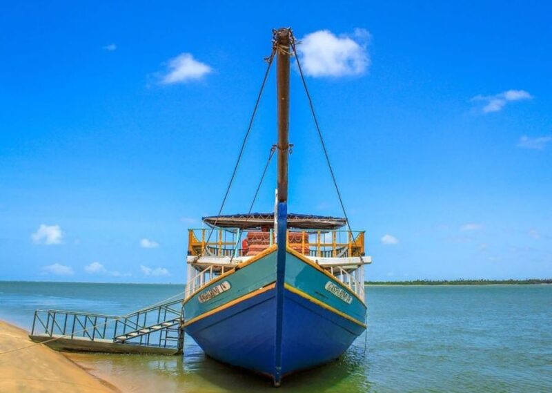 Boat Ride: São Francisco River, the Largest River in Brazil - Environmental Preservation Area Tour