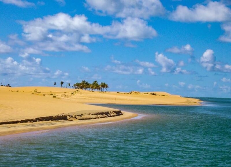 Boat Ride: São Francisco River, the Largest River in Brazil - Relaxing on Pristine Beaches